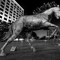 Las Colinas Mustang 01